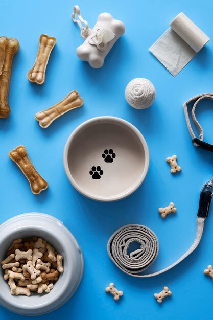 Pet accessory
