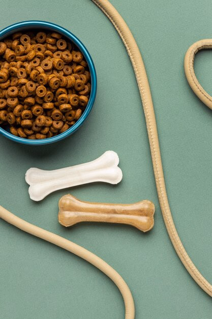 Pet toy