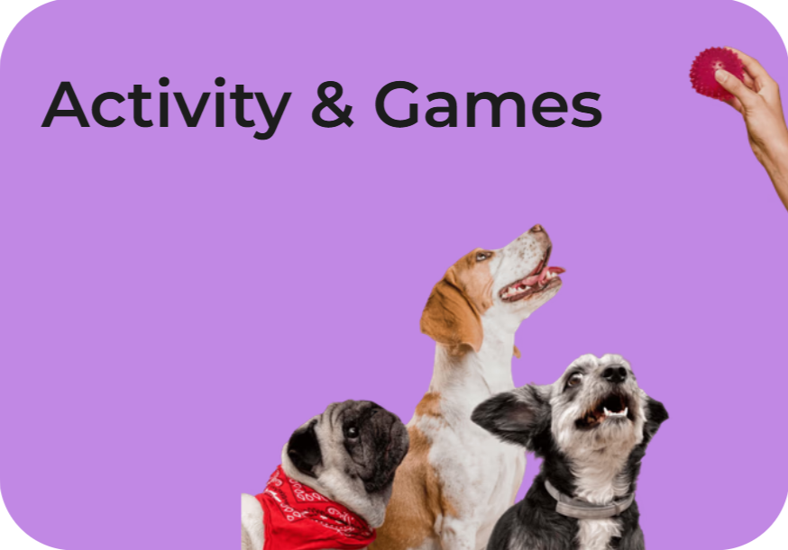 Activity & Games