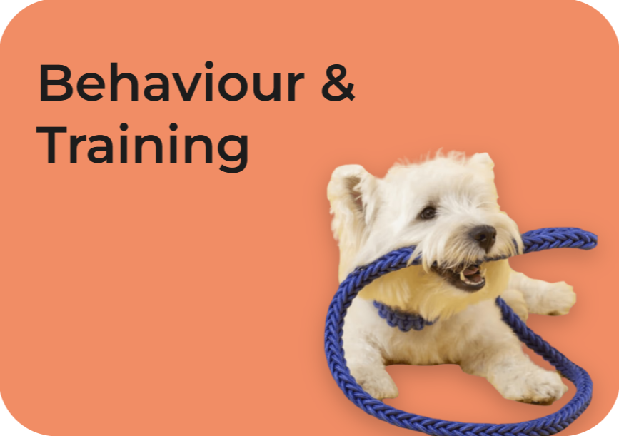 Behaviour & Training