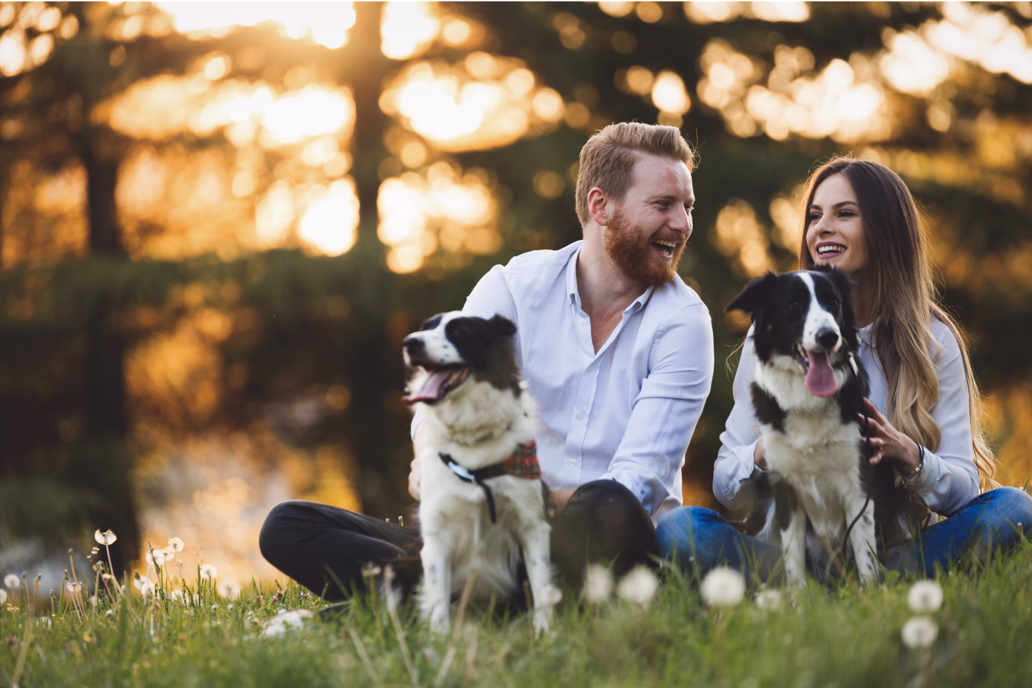 Happy couple with their dog