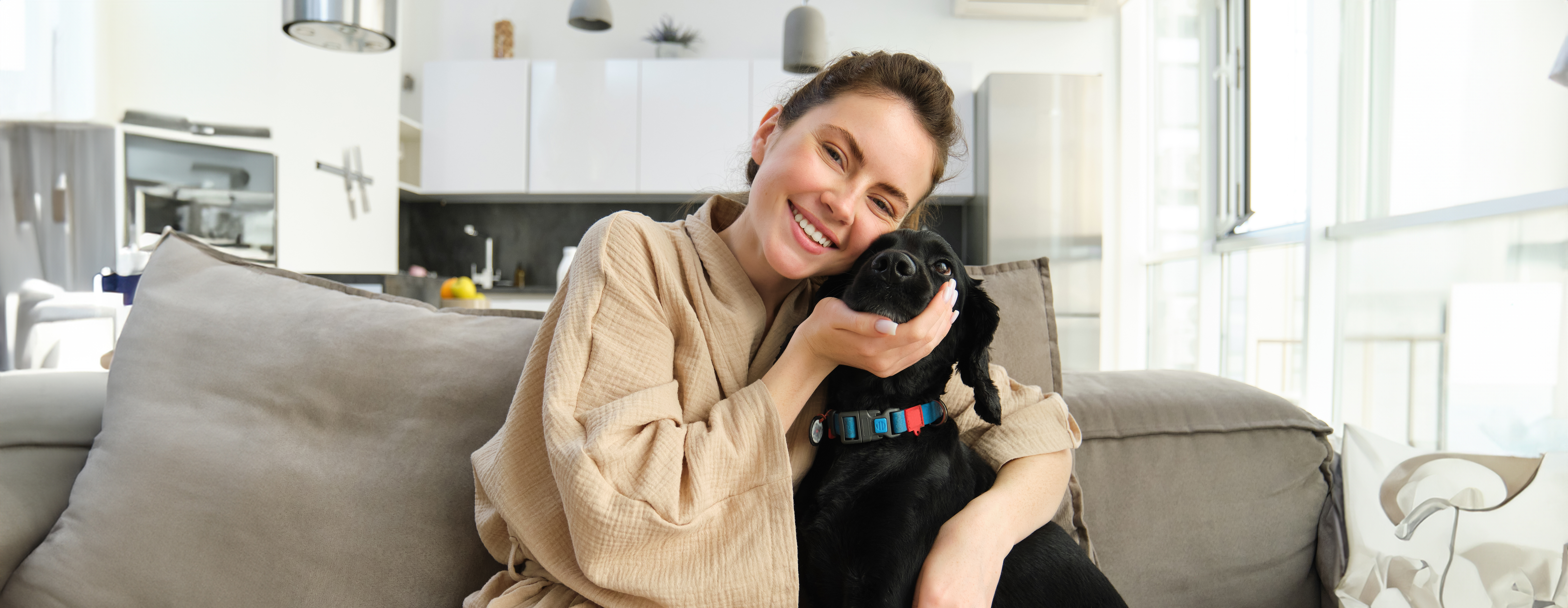 Veterinarian with dog